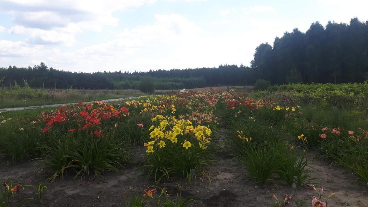 Winnica Debogora Dobiegniew Экстерьер фото