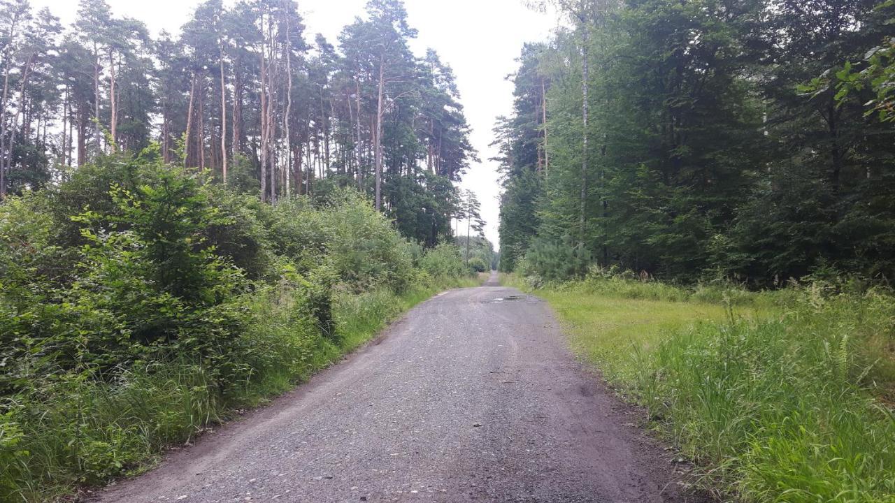 Winnica Debogora Dobiegniew Экстерьер фото