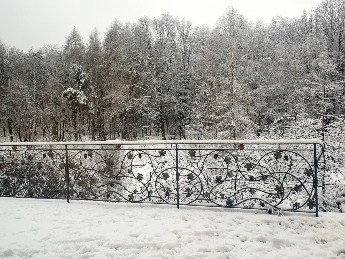 Winnica Debogora Dobiegniew Экстерьер фото