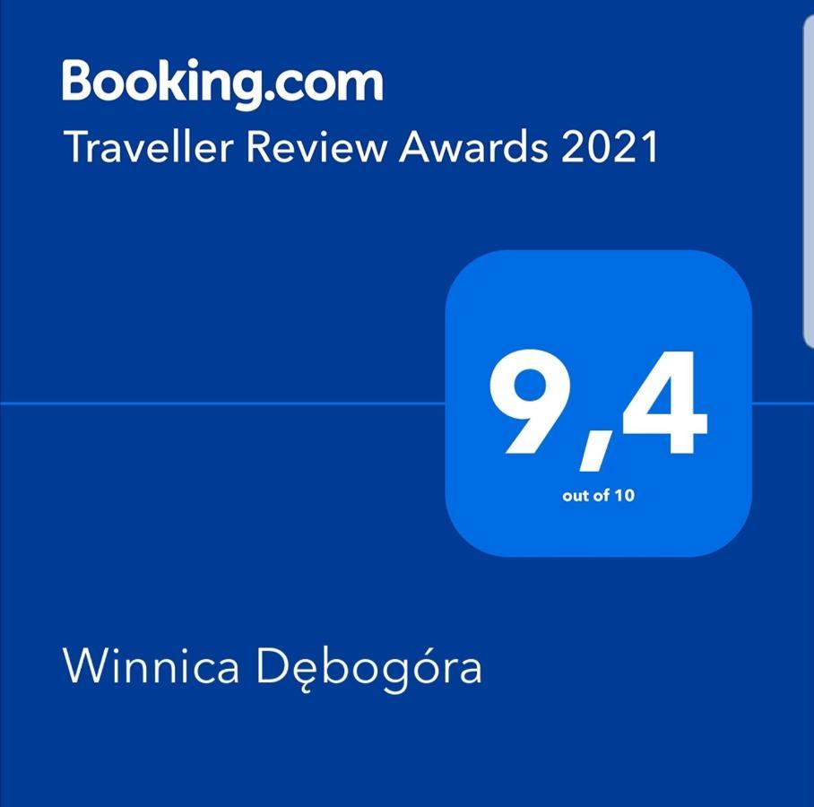 Winnica Debogora Dobiegniew Экстерьер фото